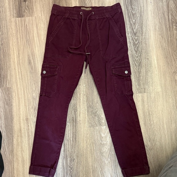 Lincoln Outfitters Pants - Lincoln Outfitters purple cargo pants